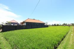Kerobokan Freehold Land 1,500sqm