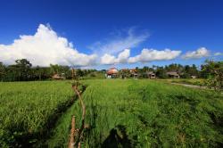 Umalas Freehold Land