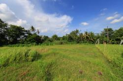 Canggu Land