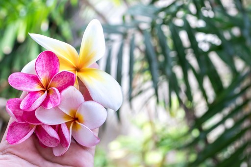 Bali Bombing Memorial Services