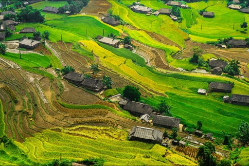 Saving Changing Landscape of Bali